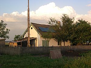DSCN8227.JPGDSCN8227