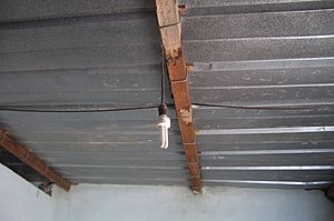 CIMG6504.JPGCIMG6504
